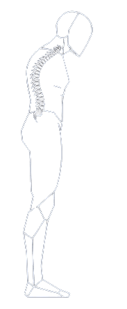 Spine recovery stage 2