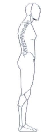Spine recovery stage 4